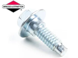 Skrutka Briggs & Stratton / 799370